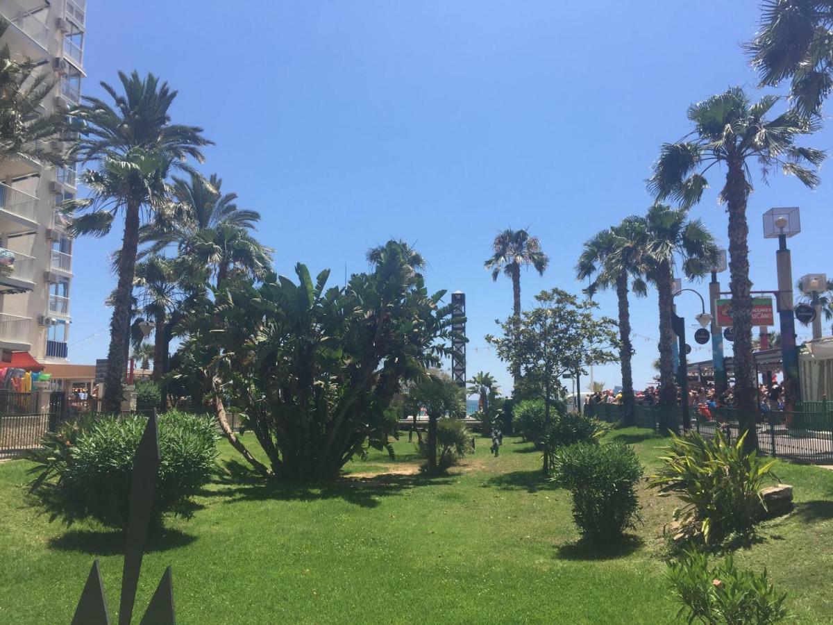 Exinvall Benidorm Dış mekan fotoğraf